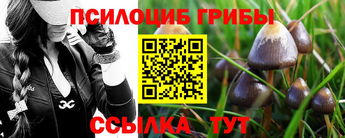 Минусинск  Галлюциногенные грибы мухоморы  закладки  Вход с VPN 