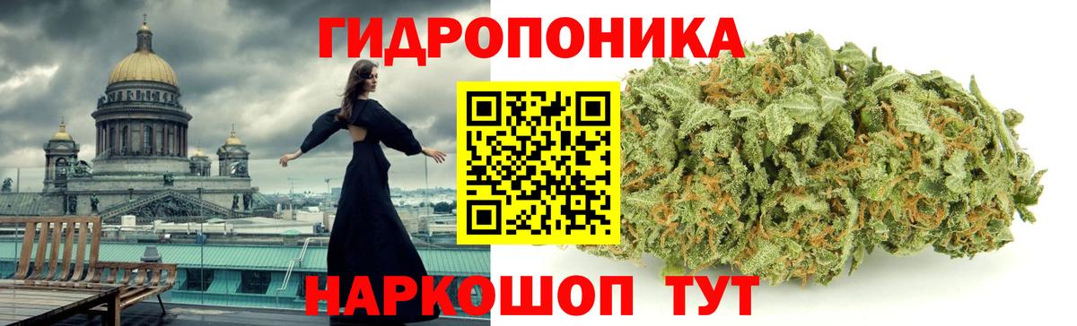 Каннабис сатива Минусинск